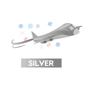 Logo Design Silver