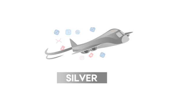 Web Design Silver